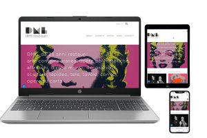 saibenecomunicaere-dmlrestauri_head